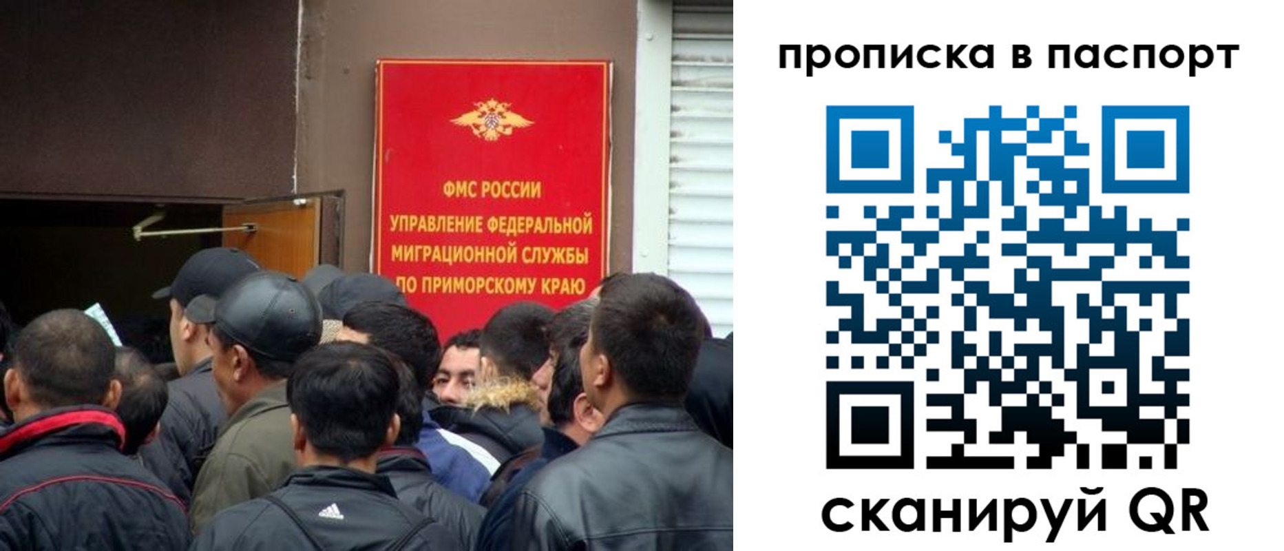 прописка поиск в Бокситогорске